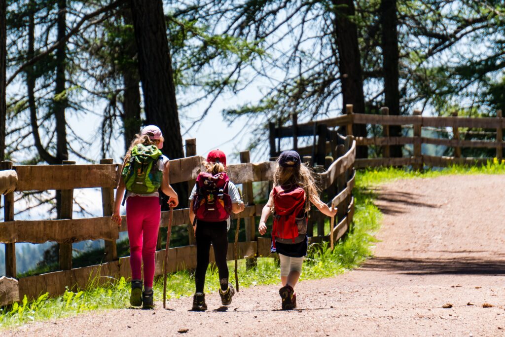 Hiking Gear Essentials: What You Really Need on the Trail
