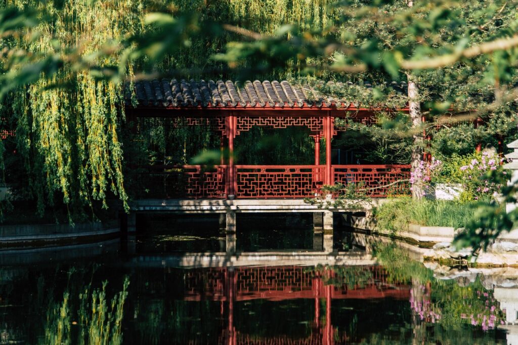 The Rise of Indoor Adventure Parks in the USA