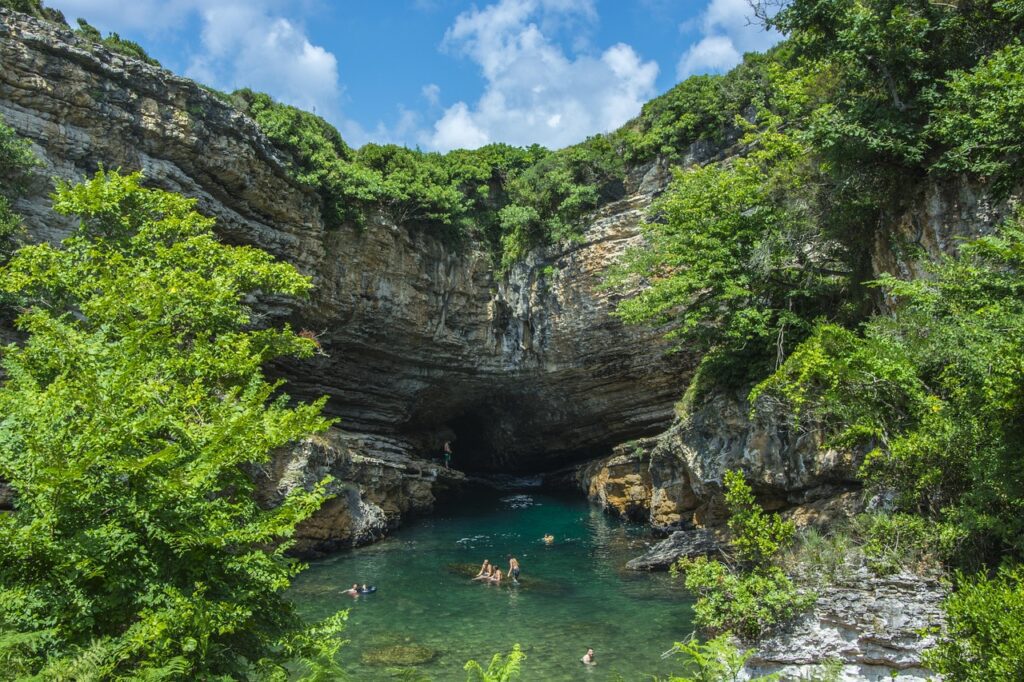 Tree top adventure parks