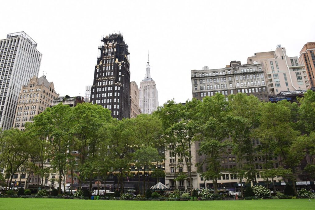 Hostels vs Budget Hotels in US Host Cities: Which is Better for Solo Travelers?